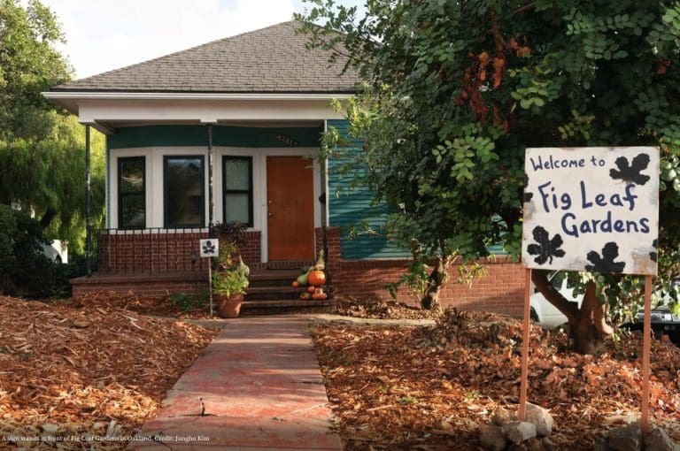 Big things are blooming at this hidden farm in Oakland